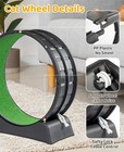 39 4 cat Exercise Wheel For Quiet Running Indoor Cat Treadmill W  Carpeted Wheel