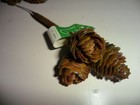 Vintage Plastic Pine Cone Pick Made In Hong Kong Set Of 2 