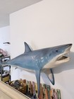 Taxidermy 78in Mako Shark From 1973 Measured And Molded Replica With Real Teeth