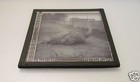 Vintage Magic Lantern Slide Whipsnade Zoo An Ostrich 1930 s Bedfordshire 