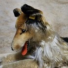 Vtg steiff Collie Dog Lying 1960s Mohair   Id Button 2343   Chest Tag 