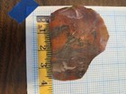 Petrified Wood Slab