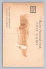 Vintage Montana Postcard Glacier National Park Trick Falls 1920s