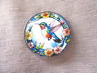 Lrg Glass Dome Pict Button -  stained Glass  Hummingbird Tropical Flowers Border