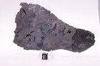 Campo Del Cielo Meteorite  Etched Full Slice Weight 146 8 Grams 6 5 Inches
