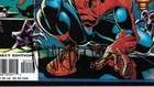 Sensational Spider-man 21 Signed Mike Wieringo Todd Dezago Autographed Marvel