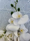 Beautiful White Bridal Wedding Bouquet Flowers Floral Greens Large Roses Orchids