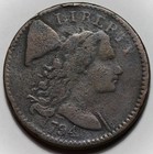 1794 Liberty Cap Large Cent - Head Of 94  s-60  - Rim Damage  Us 1c Copper Coin
