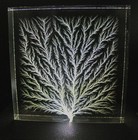 Frozen Lightning  Lichtenberg Figure 4 x4  X 0 75  Physics Sculpture