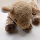 Htf Vintage 2004 Ty Classic Brook Fawn Deer Beanie Baby Stuffed Animal Plush Toy