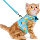 Soft Mesh Cat Vest Harness And Leash Set Puppy Padded Pet Harnesses Escape Pr   