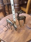 Set Of 2 Vintage Mid Century Solid Brass Buck And Doe Deer Statues Figurines