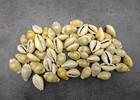 Money Cowrie Seashells Bulk  approx  Half Cup 35  Shells 0 5  Inches 