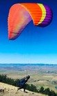 Ozone Mojo 6 Medium Paraglider Pho Low Hours Still Crispy