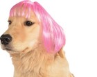 Rubie s Pet Shop Short Pink Dog Wig  Small