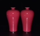 A Pair Chinese Rouge Red Glaze Porcelain Handmade Exquisite Prunus Vases 13071