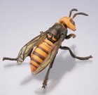 Kaiyodo Museum Q Asian Giant Hornet Murder Wasp Bee Insect Bug Figure Sp