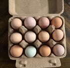 12 Chicken Hatching Eggs Mix  rare Breeds 