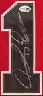 Dennis Rodman Signed Chicago Bulls Mitchell   Ness Jersey Framed Jsa Coa Auto