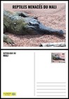 Mali 2024 Set Of 4 Stationery Card - Reptiles - Turtle Turtles Crocodile