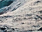 Nasa Astronaut Charlie Duke Lunar Rover Apollo 16 Signed Autopen 8x10 Photo