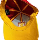 Harry Potter Gryffindor Cap The Wizarding World Universal Studio Hat 