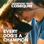 Nutramax Cosequin Joint Supplement For Dogs  Chewable Tablets  132ct