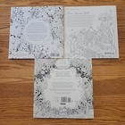 Adult Coloring 3 Book Lot Dreamland  Fairies In Dreamland  Lost Ocean New