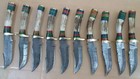 Lot Of 10  8 Inches Handmade Damascus Steel Skinner Knives In Stag Horn   Sheath