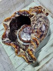 Large Vintage Drip Glaze Ceramic Conch Shell Planter Vase Mid-century