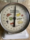 Vintage American Family Metal Kitchen Scale   25 Lbs Farmhouse Great Display 