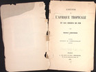 1898 L avenir De L afrique Tropicale Et Les Chemins De Fer French