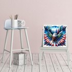 5d Diamond Painting Kits For Adults Beginners diy American Eagle Diamond Art ful