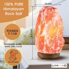 Himalayan Salt Lamp 8-10 Inch  7-11 Lb  With Dimmable Switch And Night Light    