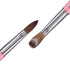 Acrylic Nail Brush Kolinsky Sable Hair 6 Sizes Monomer Powder  2  4 6  8  10  12