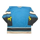 Vintage Ccm Springfield Falcons Ahl Hockey Jersey Size Xl Blue 90s Inaugural