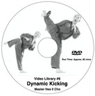 Advanced Kicking Instructional Videos - Master Hee Il Cho