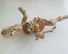 Driftwood Sculpture With Shells And Faux Pearls Hand Made Vintage