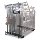 New 30  Weigh Bar Load Cell Set W  Indicator For Livestock   Pallet Scales