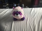 Webkinz Raccutie Hm753 No Code Purple Pink Raccoon Plush Very Rare Late Release