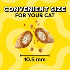 Temptations Mixups Catnip Fever Flavor Crunchy And Soft Cat Treats  48 Oz Tub