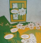 Stampin Up  Card Kit Christmas In July Fun Fold Poinsettia Place Retired Dsp
