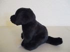 Webkinz Signature Black Lab -wks2011 New  Sealed  Unused Code  Very Cute