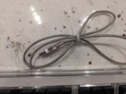 Vtg Apple Macintosh M7803 Usb Keyboard Black