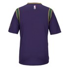 New Orleans Pelicans Official  mardi Gras  Pride Climacool Men s Swingman Jersey