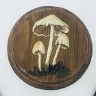 Vintage Mushroom Wood Rounds Lot Wall Hanging Hand Painted Decor Retro Nature