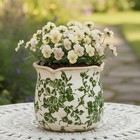 Tuscan Ceramic Plant Pots 6 11 In Indoor With Drainage Hole Vintage Green Scroll