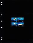  7 50 Scott Value - 2014 Nevis Reef Sharks Caribbean Sea Cv Mnh Nh Umm