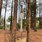 Custom Handmade Carbon Steel Blade Tactical Viking Sword   Hunting Sword Camping