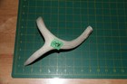 Medium Branched Deer Antler Dog Chew  20   Bone Chews Deer Elk Treats Deer 130